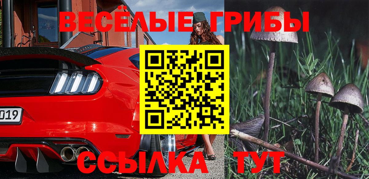 Псилоцибиновые грибы прущие грибы  магазин продажи   Вход с VPN  Прокопьевск  Псилоцибиновые грибы Magic Shrooms 