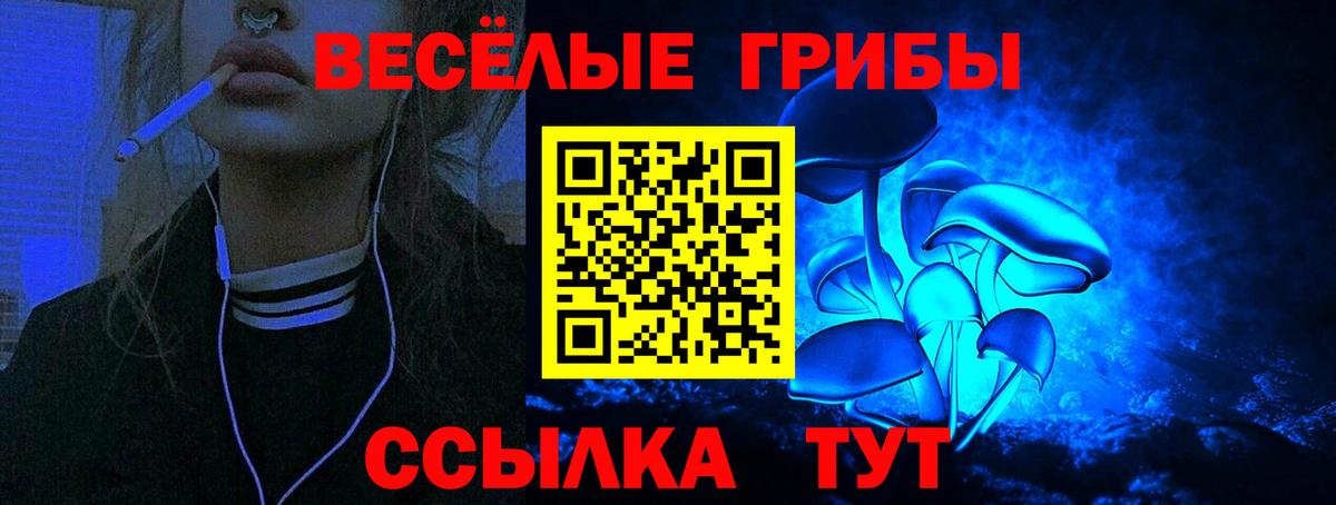 Псилоцибиновые грибы Cubensis Прокопьевск