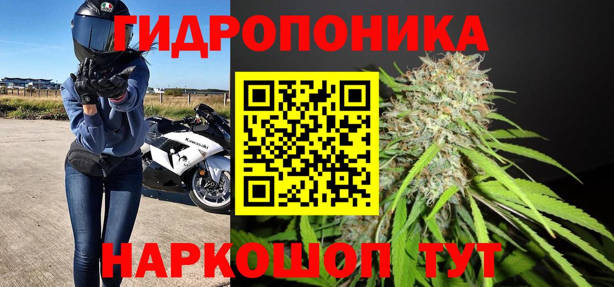 Прокопьевск  Конопля конопля  Канабис Bruce Banner  Бошки Шишки индика  Вход с VPN 